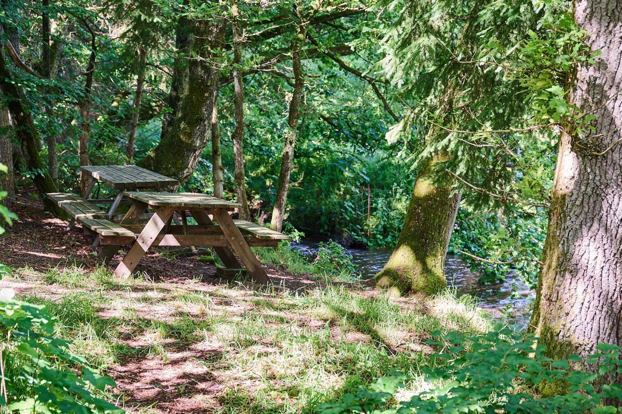 Randboldal Camping & Cabins Exteriör bild