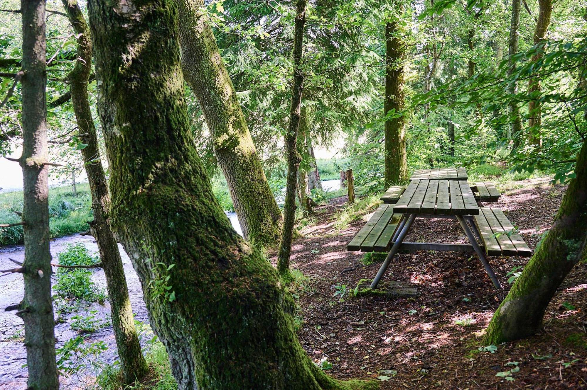 Randboldal Camping & Cabins Exteriör bild